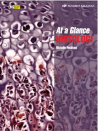 At a Glance Histologi