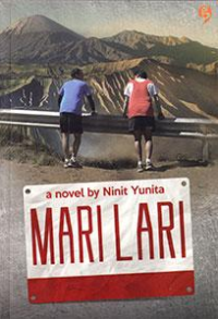 Mari Lari Novel